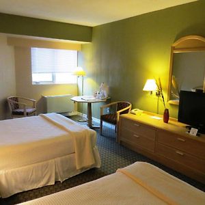 Standard Double Room Two Double Beds
